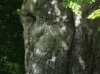 Licht, Schatten und Farben im Greizer Park