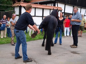 Pferdeheiler und XXL-Ostfriese Tamme Hanken