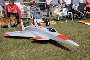 14. Modell-Flugschau in Greiz-Obergrochlitz