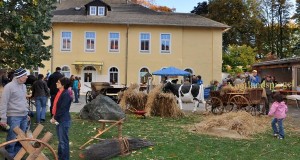Entedank- und Hoffest in Reudnitz