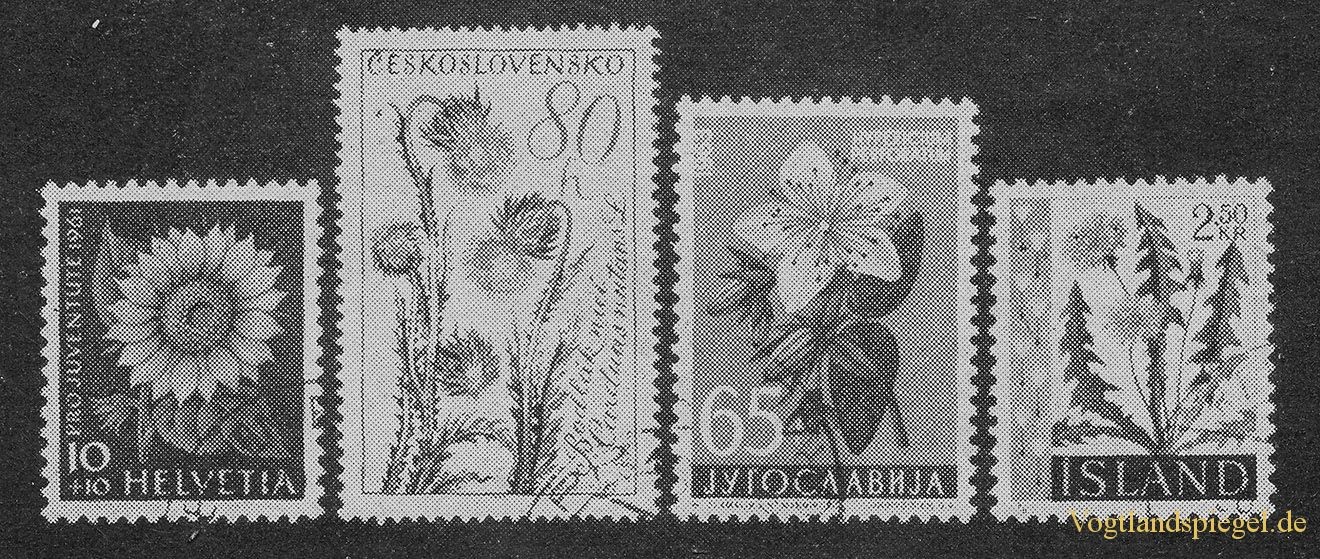 Greizer Heimatbote Oktober 1964