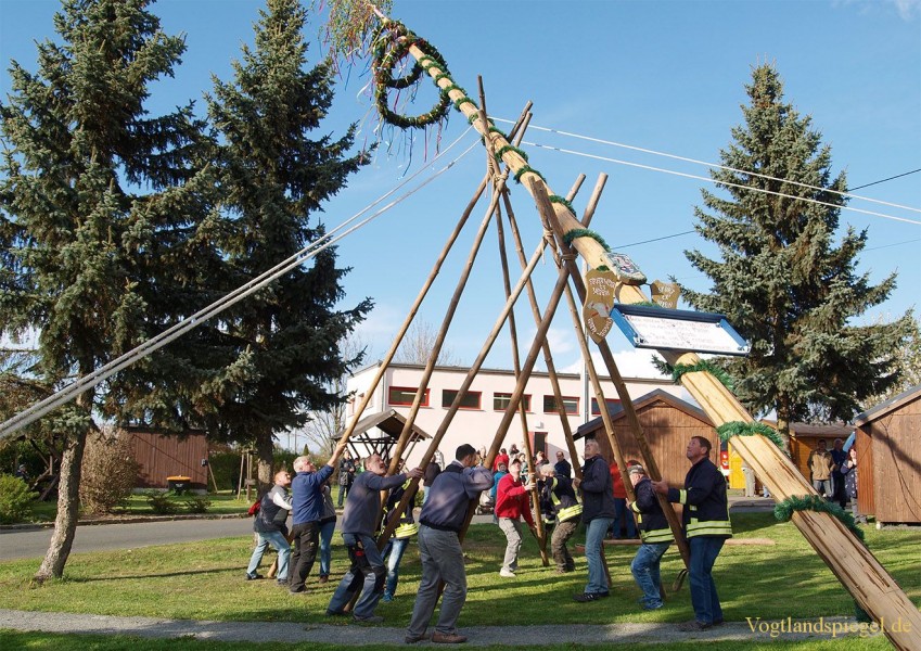 Mit Manneskraft und Zuversicht den Maibaum gestellt
