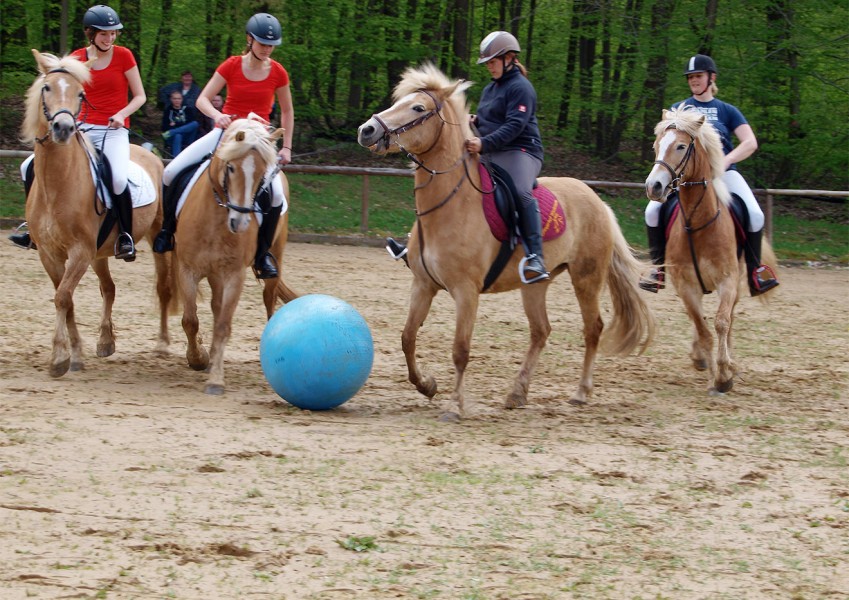 Tag der offenen Tür im Gestüt Bretmühle
