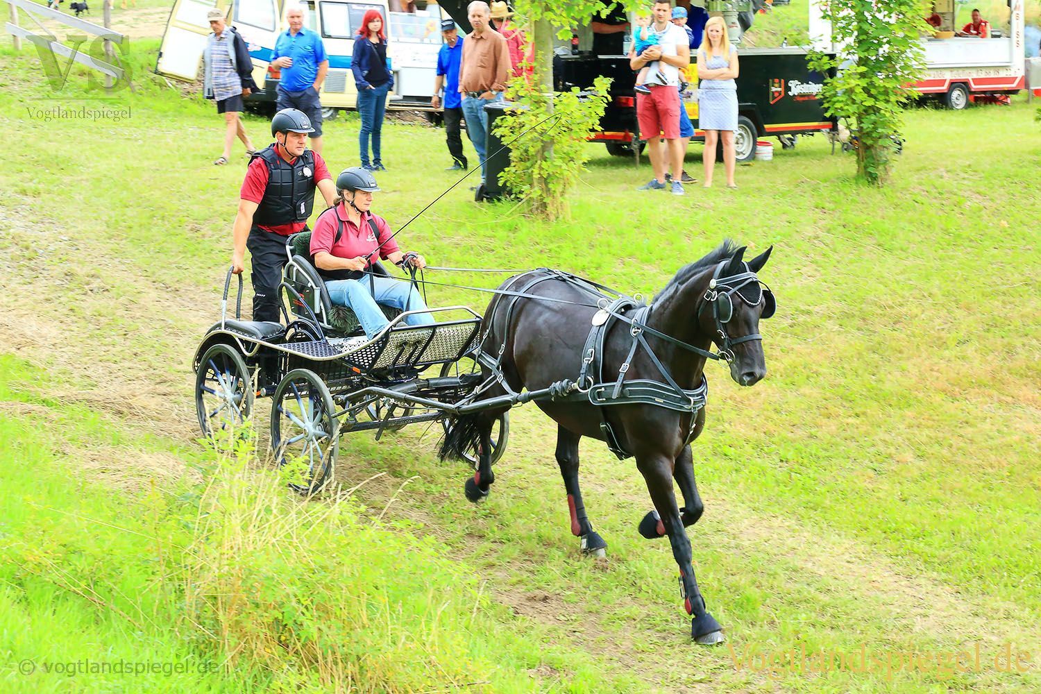 Mohlsdorf: Thüringer Landesmeisterschaft im Vier- und Einspännerfahren