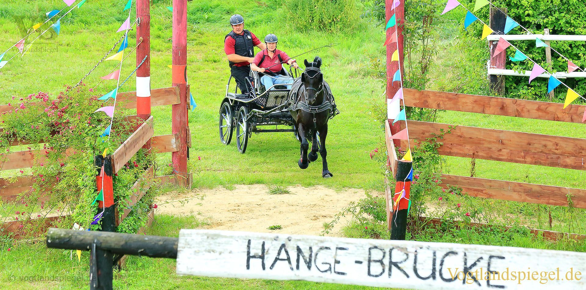 Mohlsdorf: Thüringer Landesmeisterschaft im Vier- und Einspännerfahren