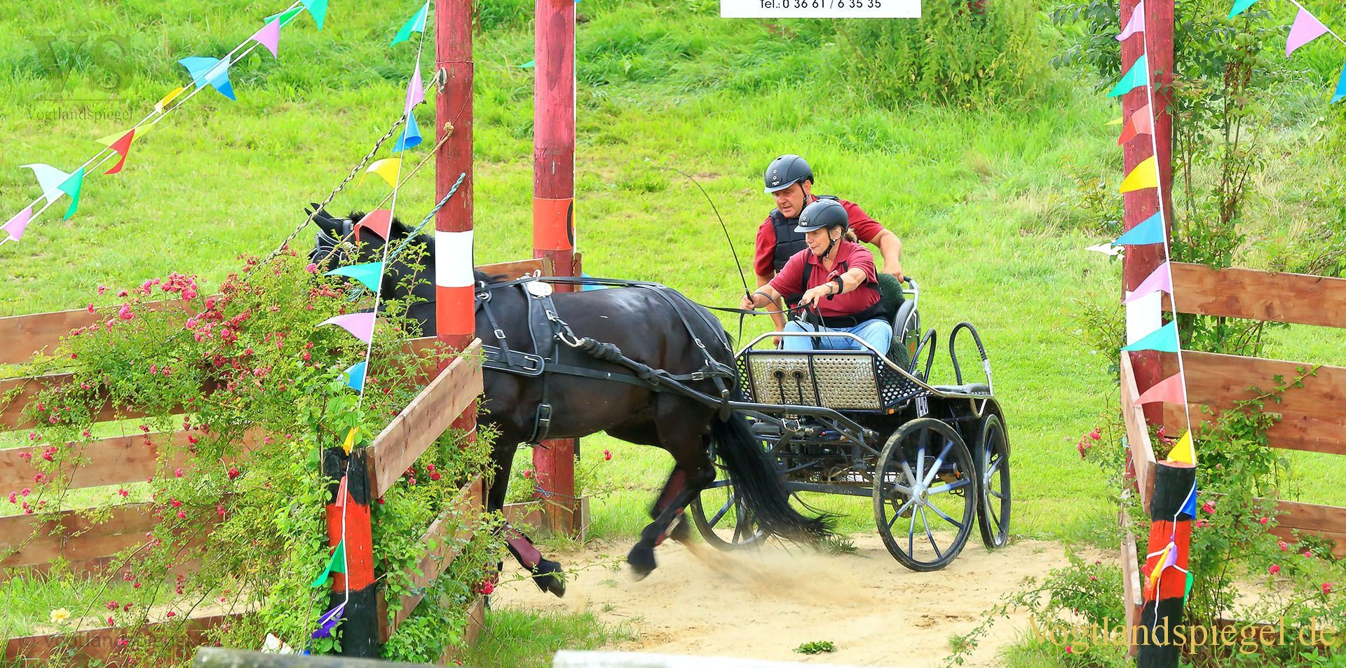 Mohlsdorf: Thüringer Landesmeisterschaft im Vier- und Einspännerfahren