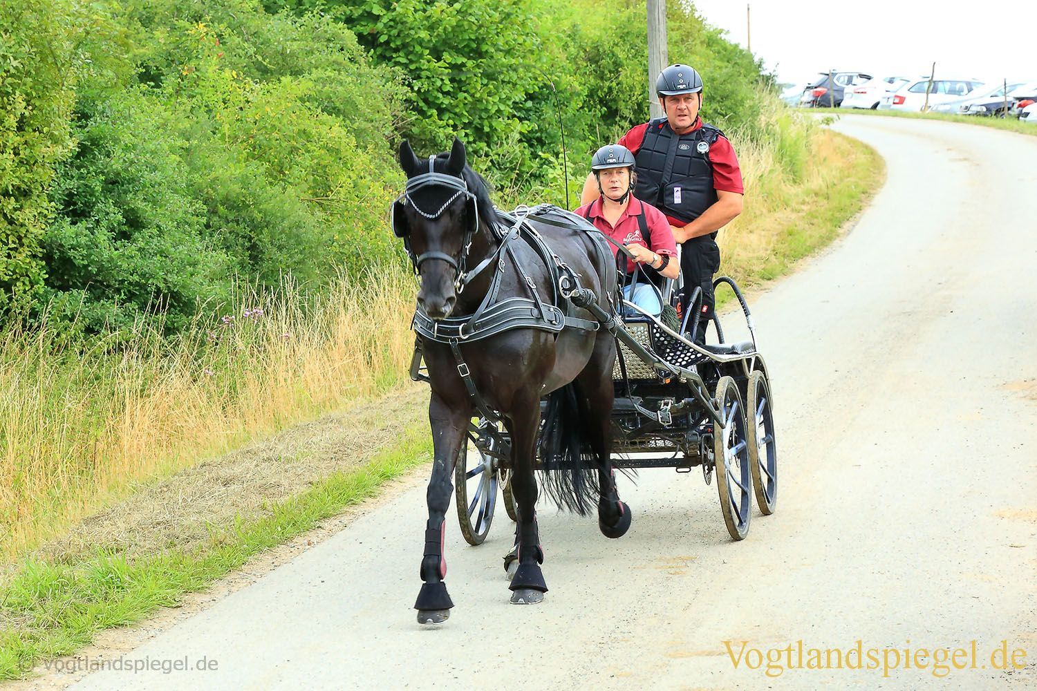 Mohlsdorf: Thüringer Landesmeisterschaft im Vier- und Einspännerfahren