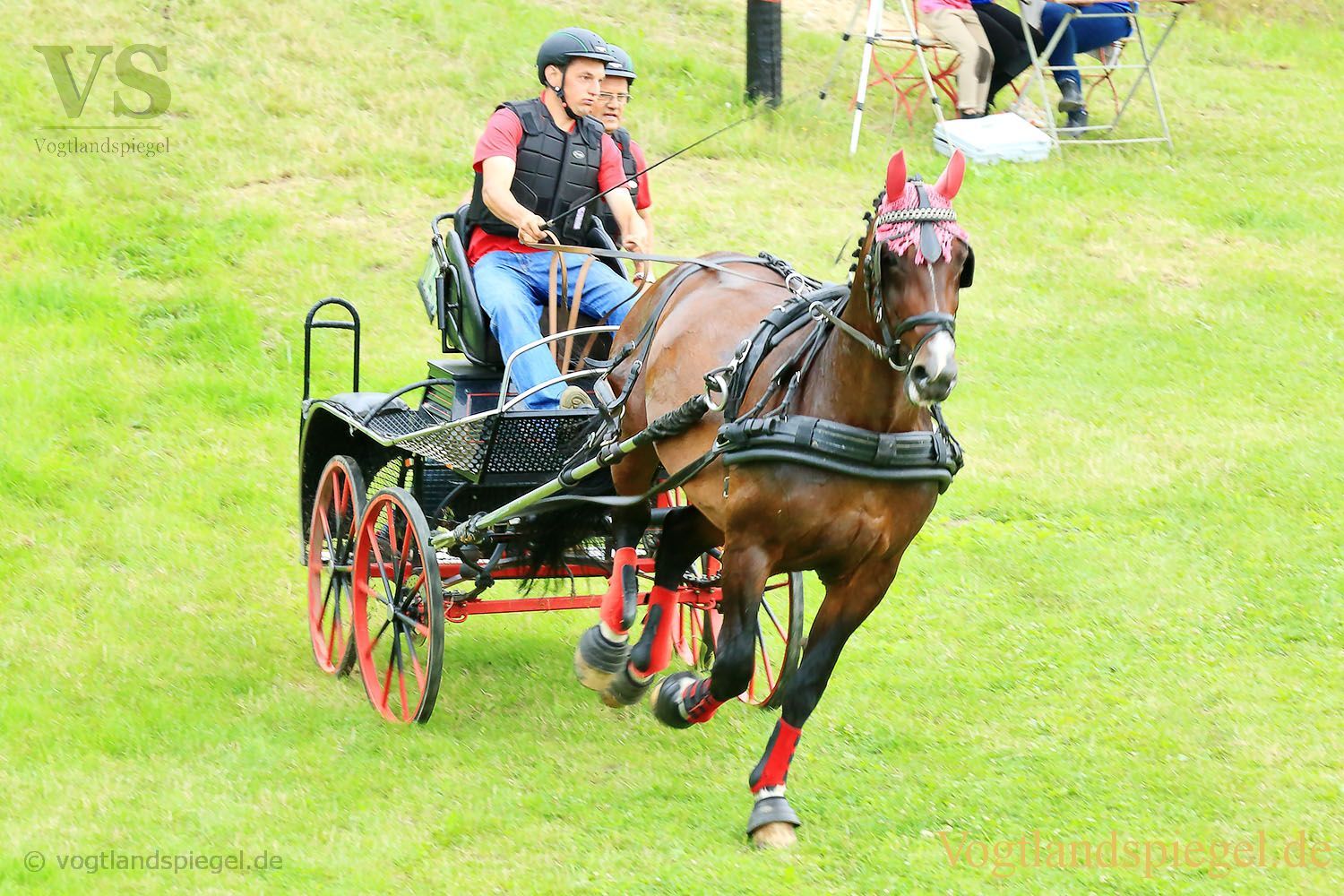 Mohlsdorf: Thüringer Landesmeisterschaft im Vier- und Einspännerfahren