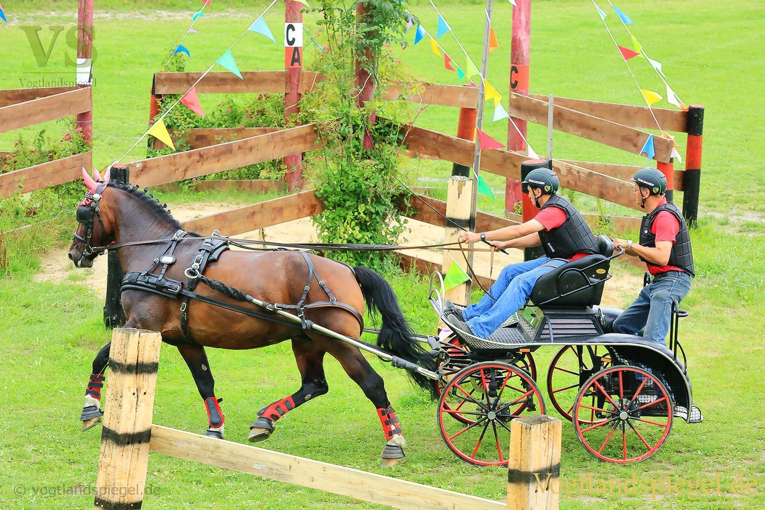 Mohlsdorf: Thüringer Landesmeisterschaft im Vier- und Einspännerfahren