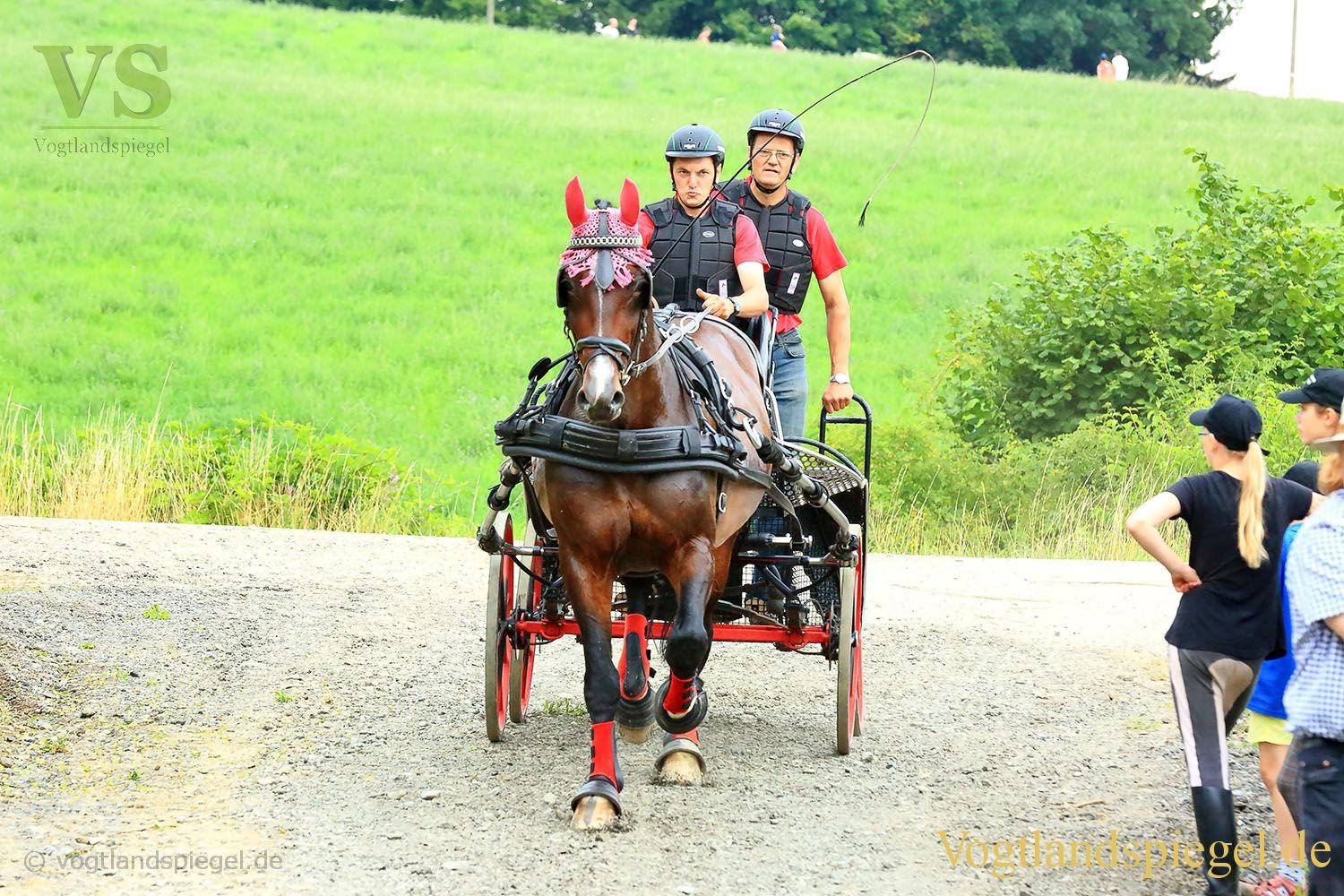 Mohlsdorf: Thüringer Landesmeisterschaft im Vier- und Einspännerfahren