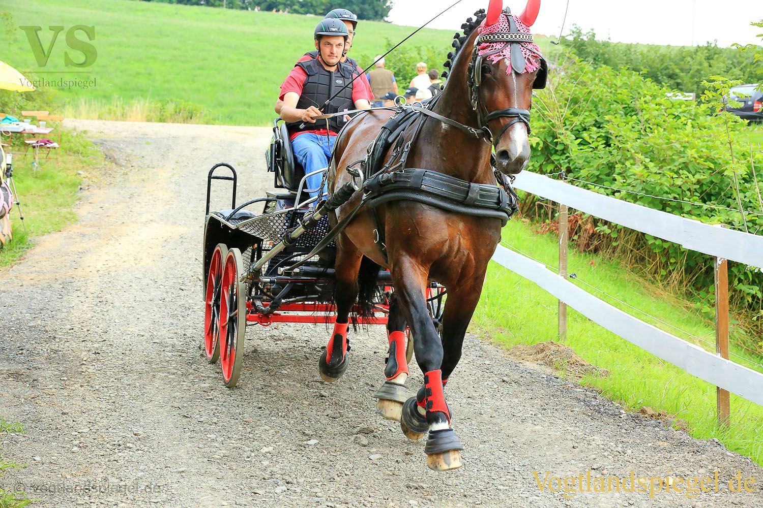 Mohlsdorf: Thüringer Landesmeisterschaft im Vier- und Einspännerfahren