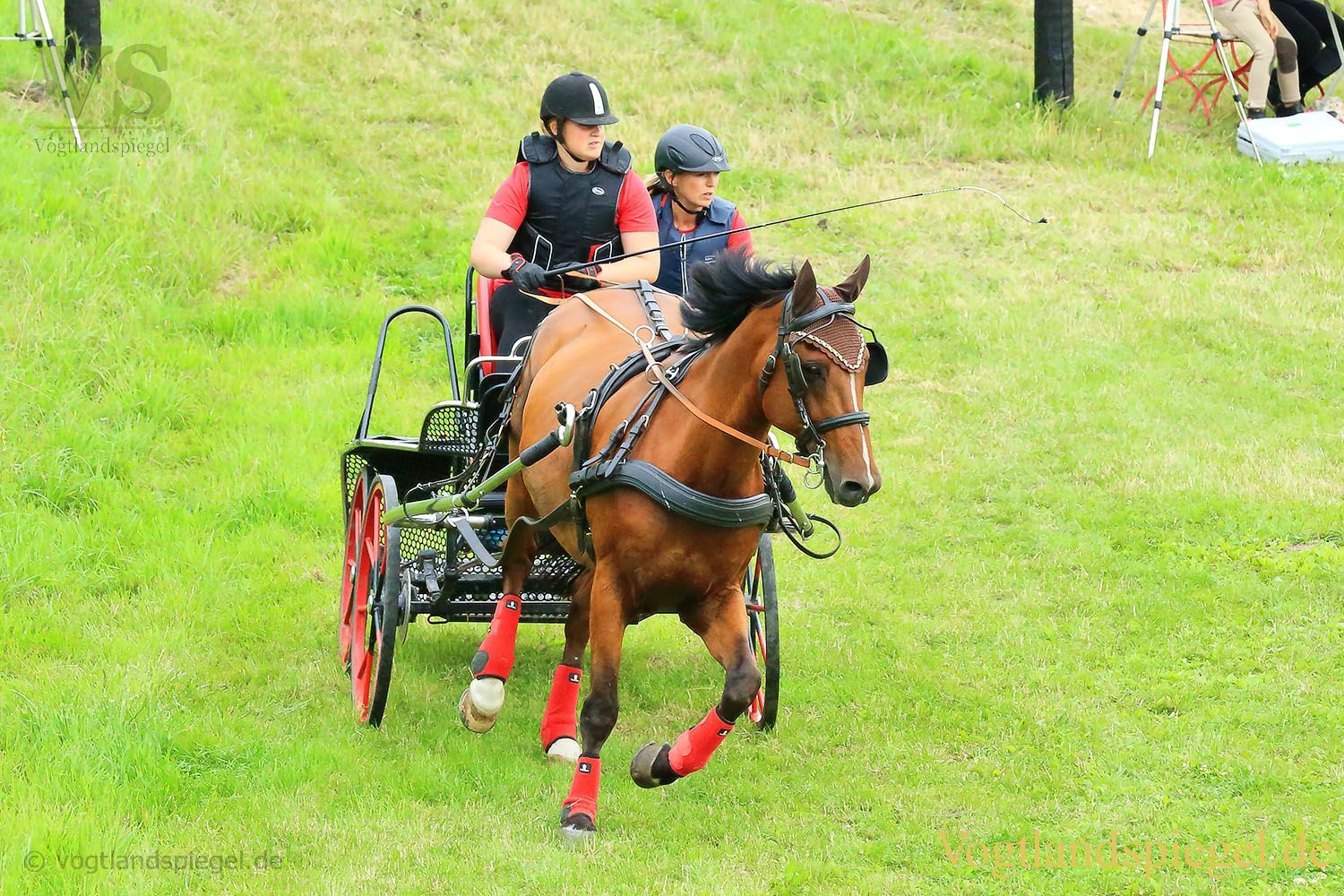 Mohlsdorf: Thüringer Landesmeisterschaft im Vier- und Einspännerfahren
