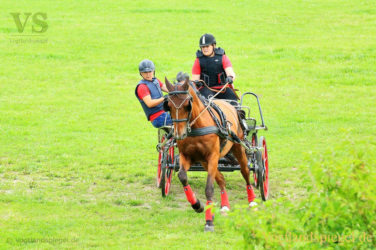 Mohlsdorf: Thüringer Landesmeisterschaft im Vier- und Einspännerfahren