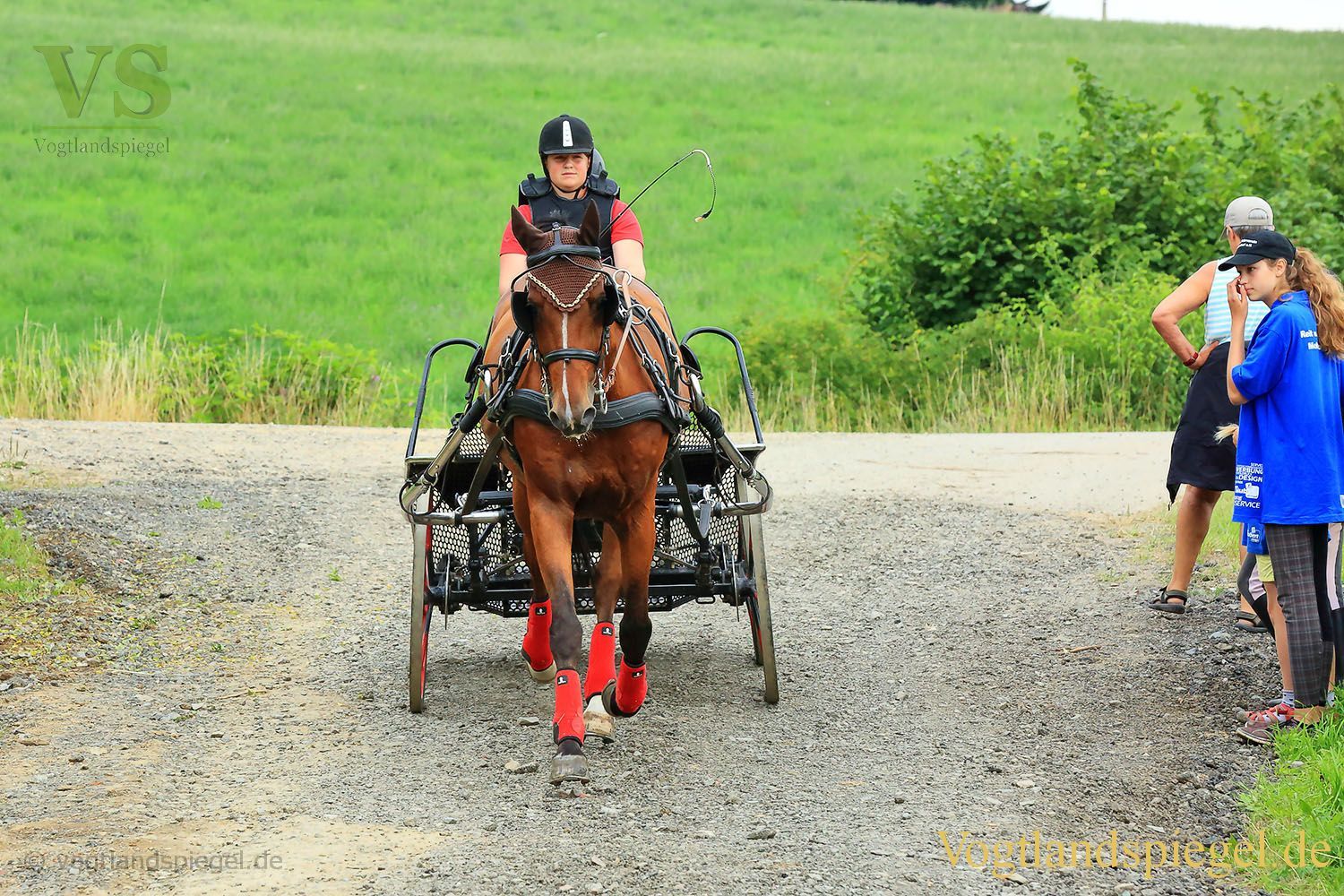 Mohlsdorf: Thüringer Landesmeisterschaft im Vier- und Einspännerfahren