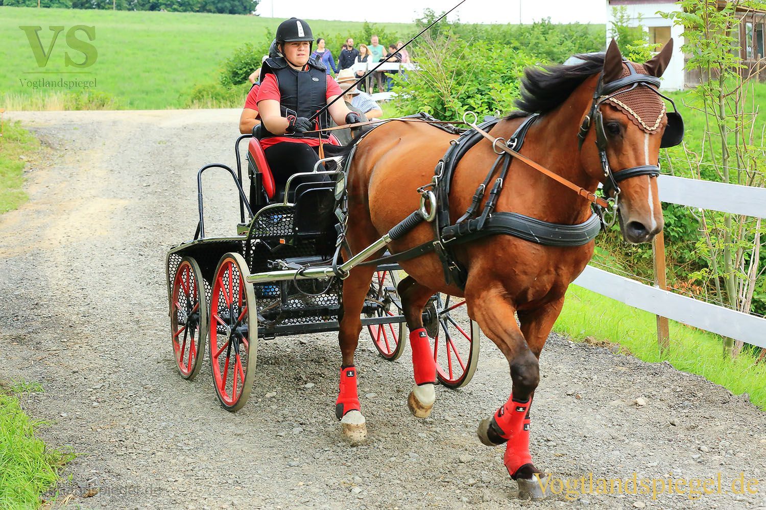 Mohlsdorf: Thüringer Landesmeisterschaft im Vier- und Einspännerfahren