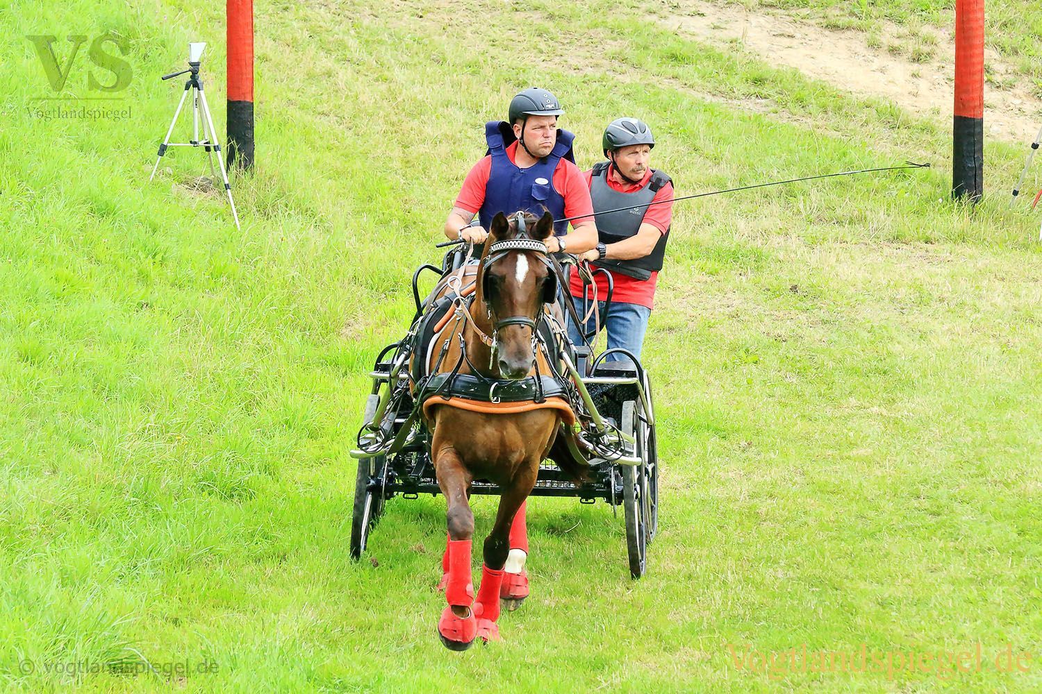 Mohlsdorf: Thüringer Landesmeisterschaft im Vier- und Einspännerfahren