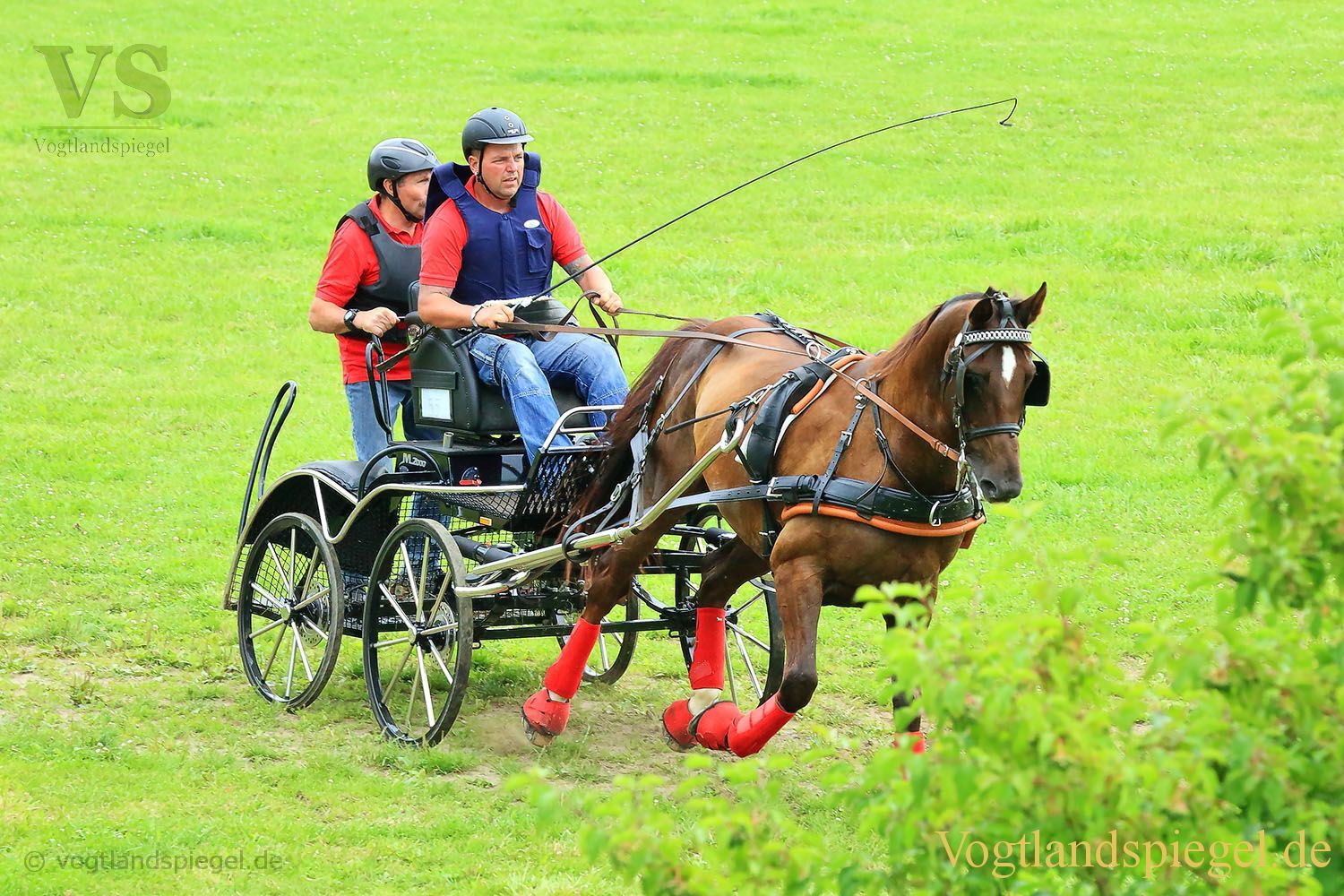 Mohlsdorf: Thüringer Landesmeisterschaft im Vier- und Einspännerfahren
