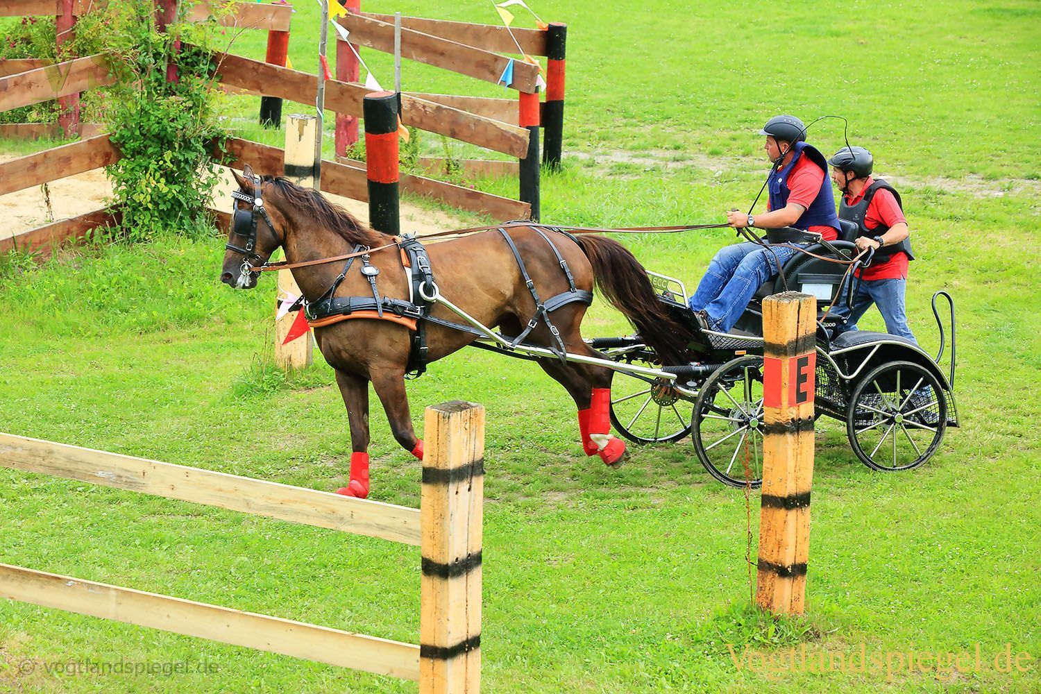 Mohlsdorf: Thüringer Landesmeisterschaft im Vier- und Einspännerfahren