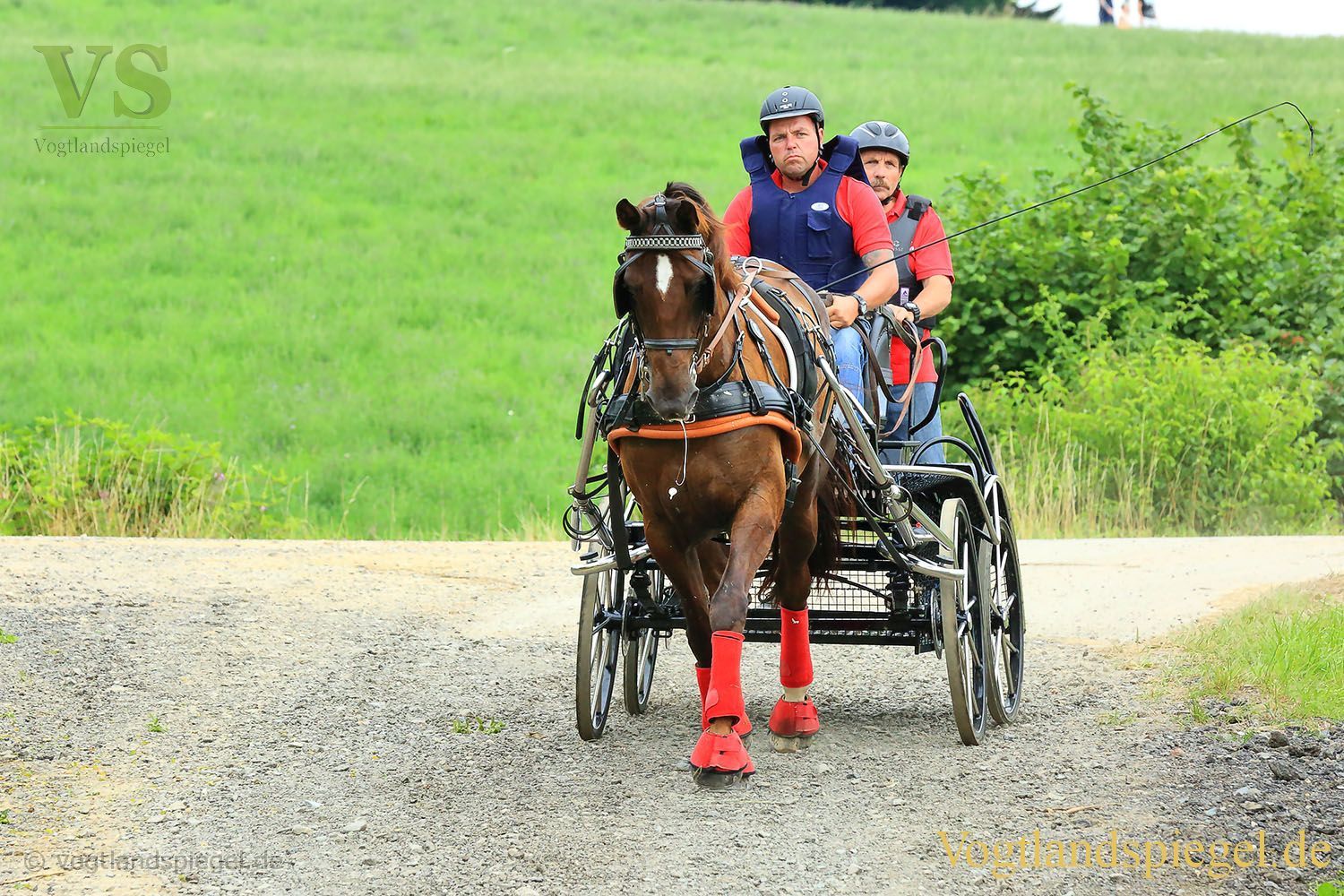 Mohlsdorf: Thüringer Landesmeisterschaft im Vier- und Einspännerfahren