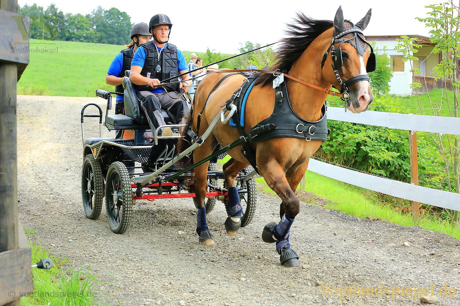 Mohlsdorf: Thüringer Landesmeisterschaft im Vier- und Einspännerfahren