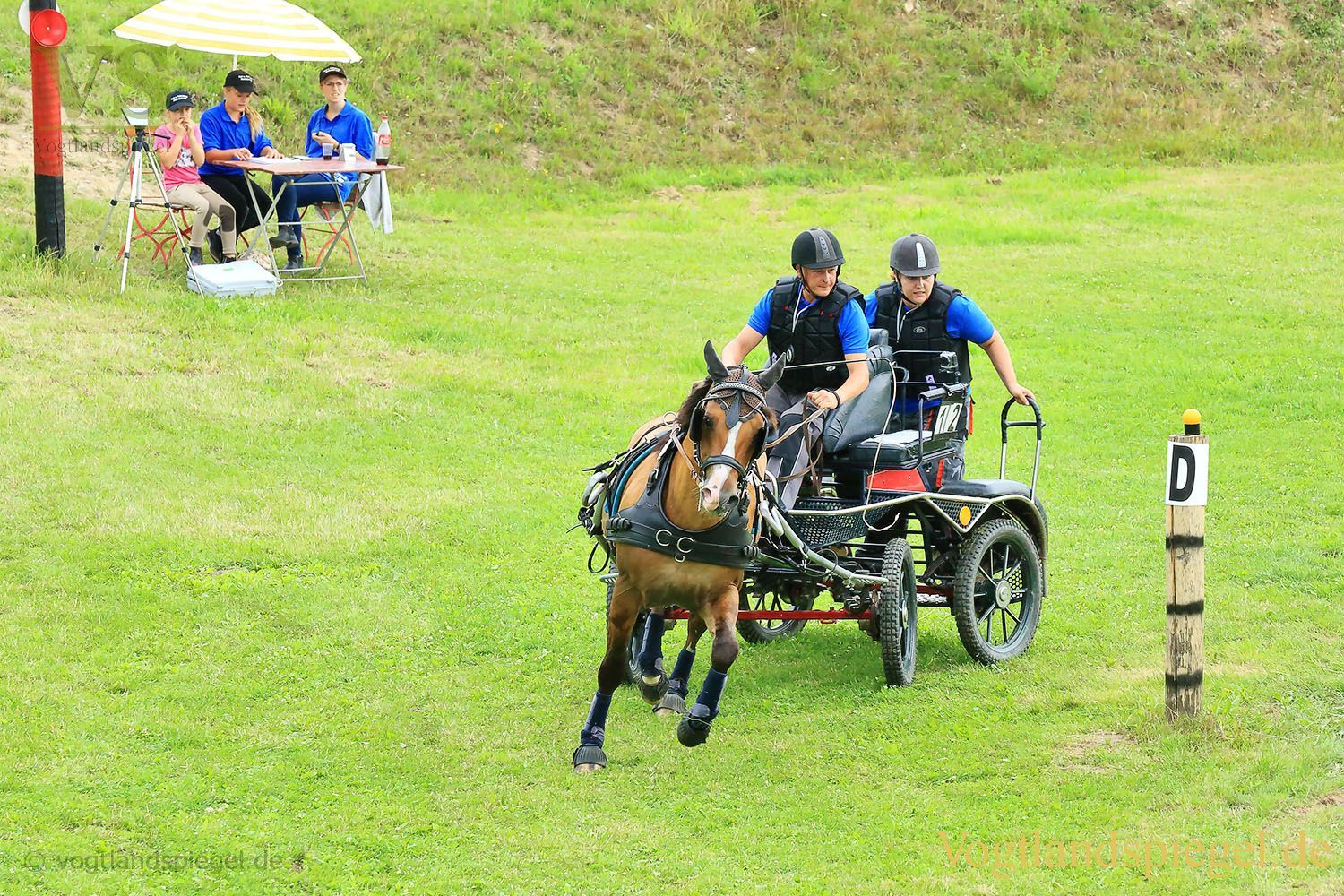 Mohlsdorf: Thüringer Landesmeisterschaft im Vier- und Einspännerfahren