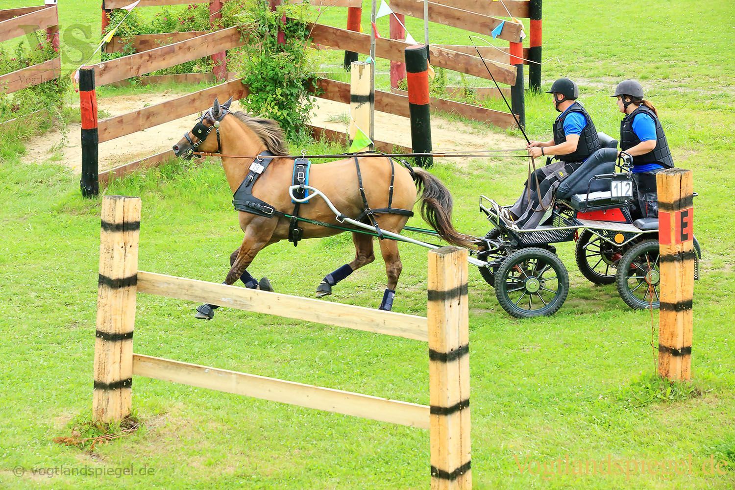 Mohlsdorf: Thüringer Landesmeisterschaft im Vier- und Einspännerfahren
