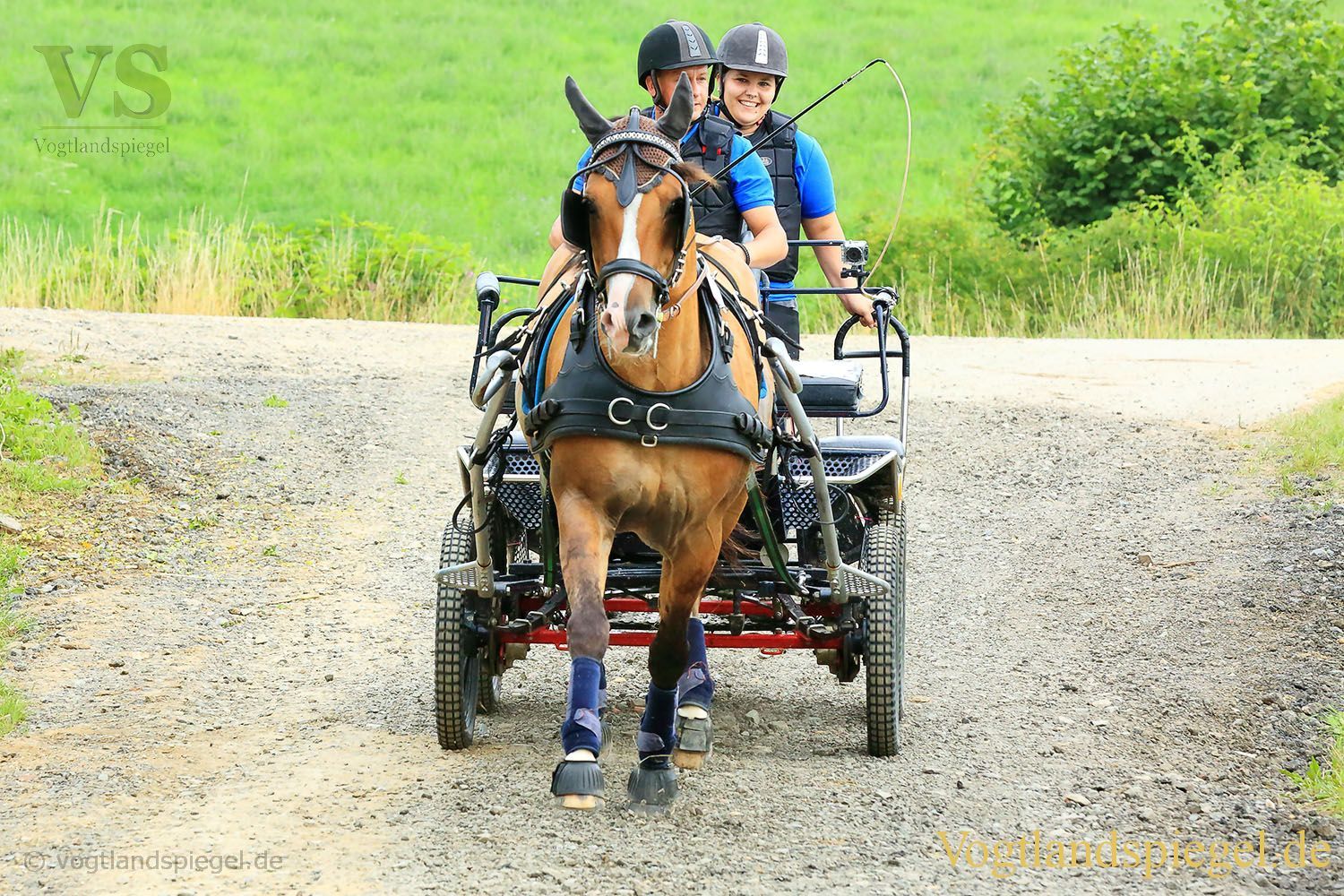 Mohlsdorf: Thüringer Landesmeisterschaft im Vier- und Einspännerfahren
