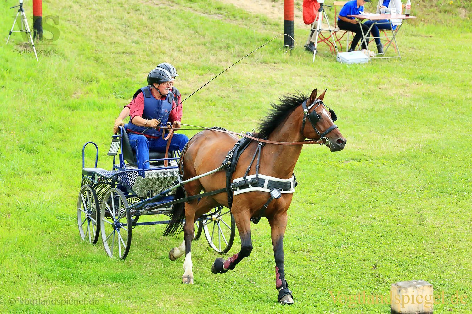 Mohlsdorf: Thüringer Landesmeisterschaft im Vier- und Einspännerfahren
