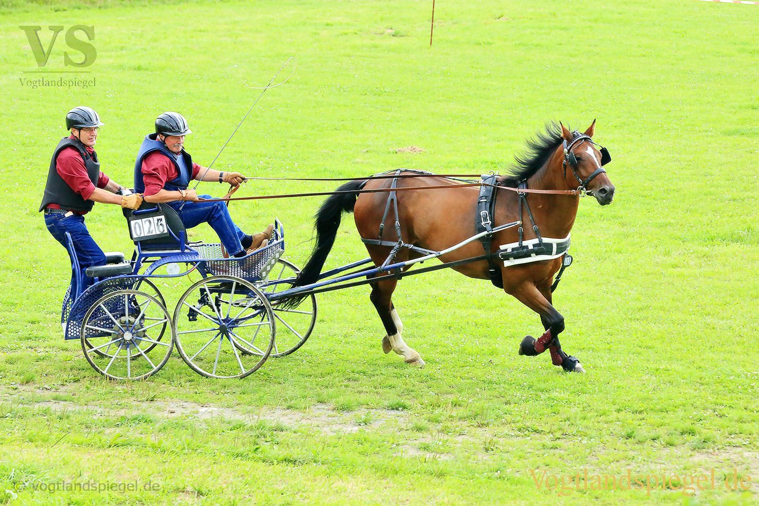 Mohlsdorf: Thüringer Landesmeisterschaft im Vier- und Einspännerfahren