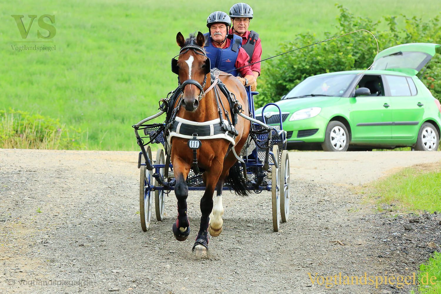 Mohlsdorf: Thüringer Landesmeisterschaft im Vier- und Einspännerfahren