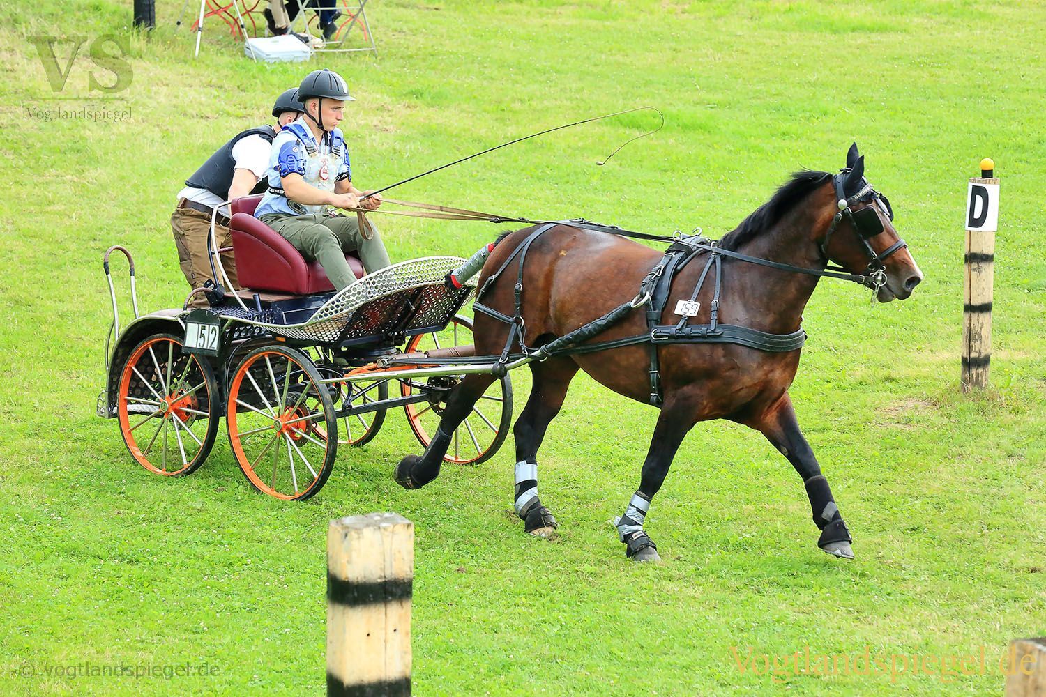 Mohlsdorf: Thüringer Landesmeisterschaft im Vier- und Einspännerfahren