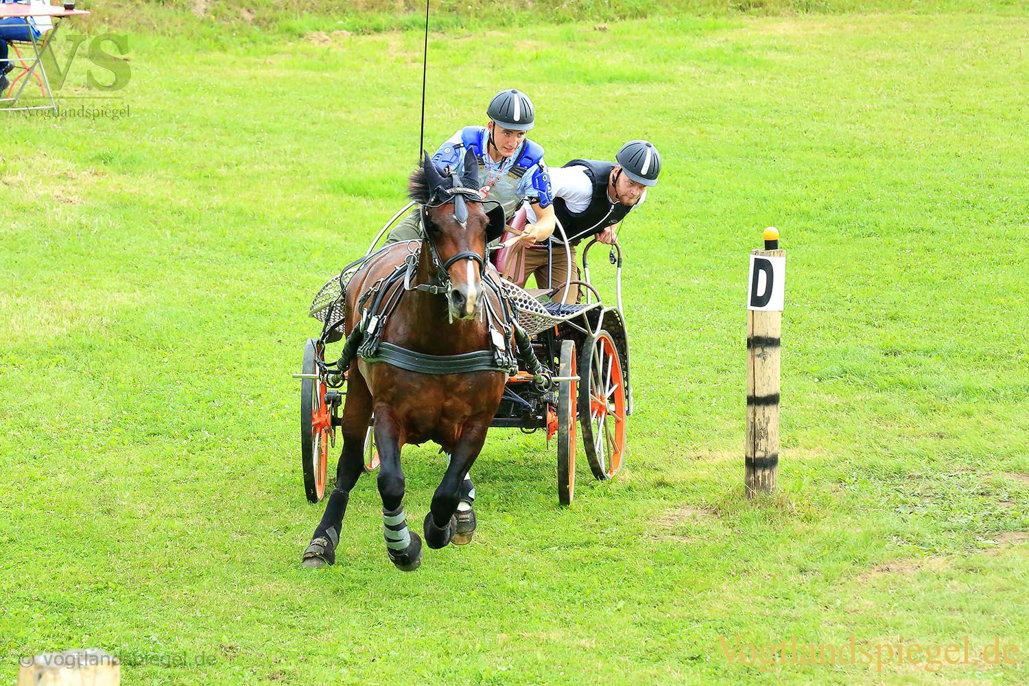 Mohlsdorf: Thüringer Landesmeisterschaft im Vier- und Einspännerfahren