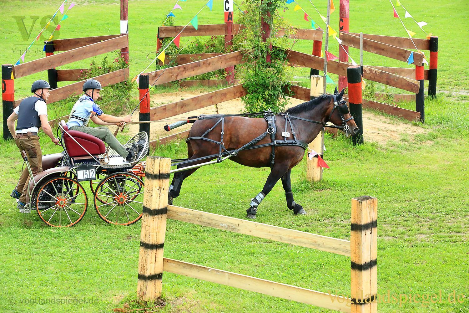 Mohlsdorf: Thüringer Landesmeisterschaft im Vier- und Einspännerfahren