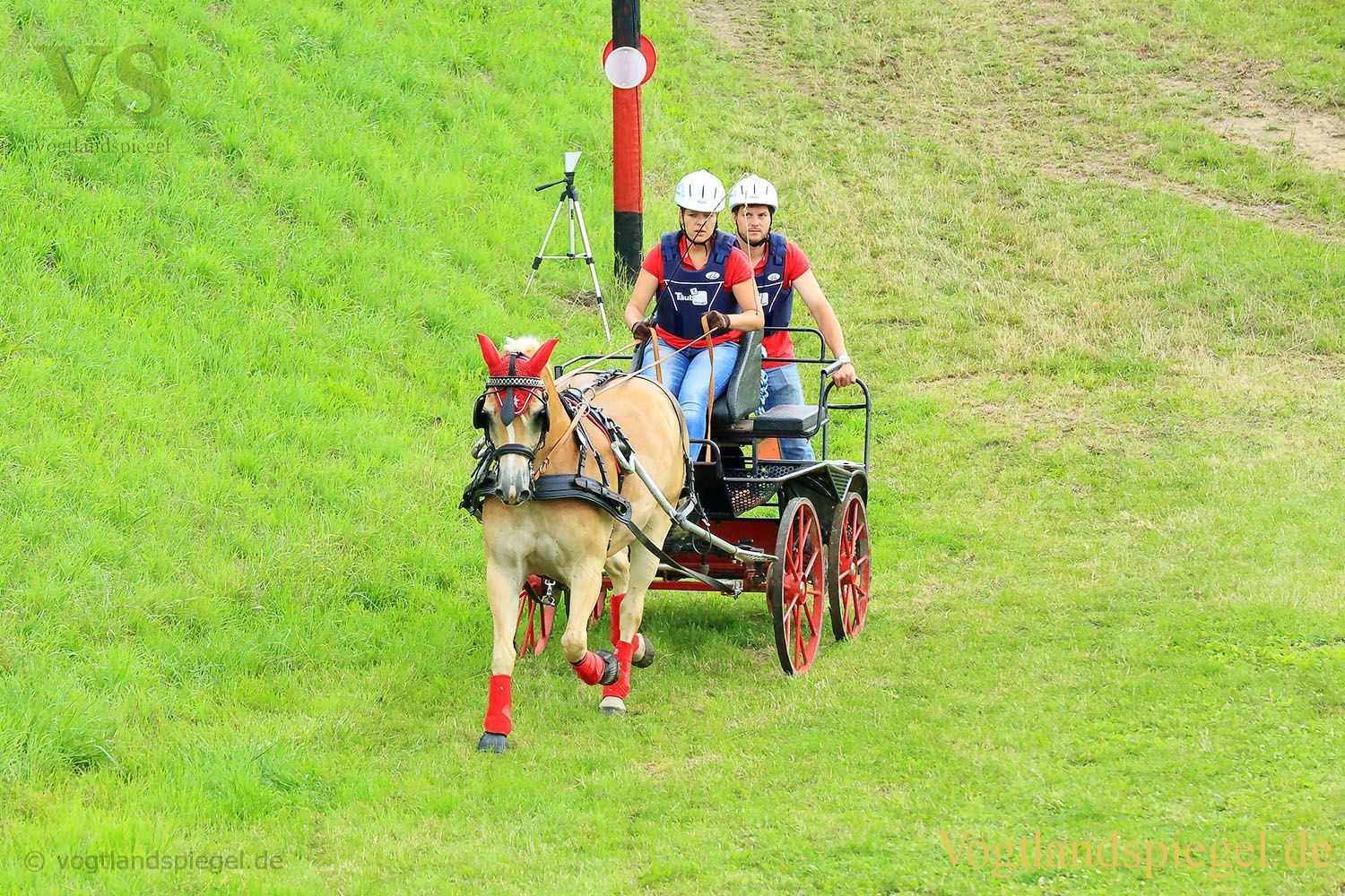 Mohlsdorf: Thüringer Landesmeisterschaft im Vier- und Einspännerfahren