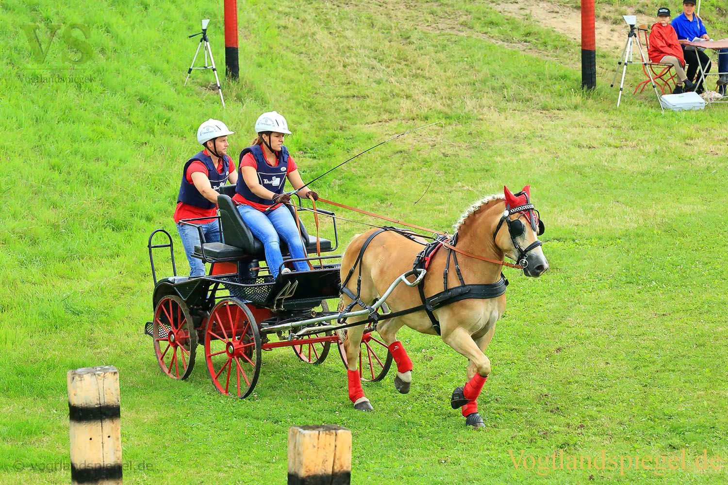 Mohlsdorf: Thüringer Landesmeisterschaft im Vier- und Einspännerfahren