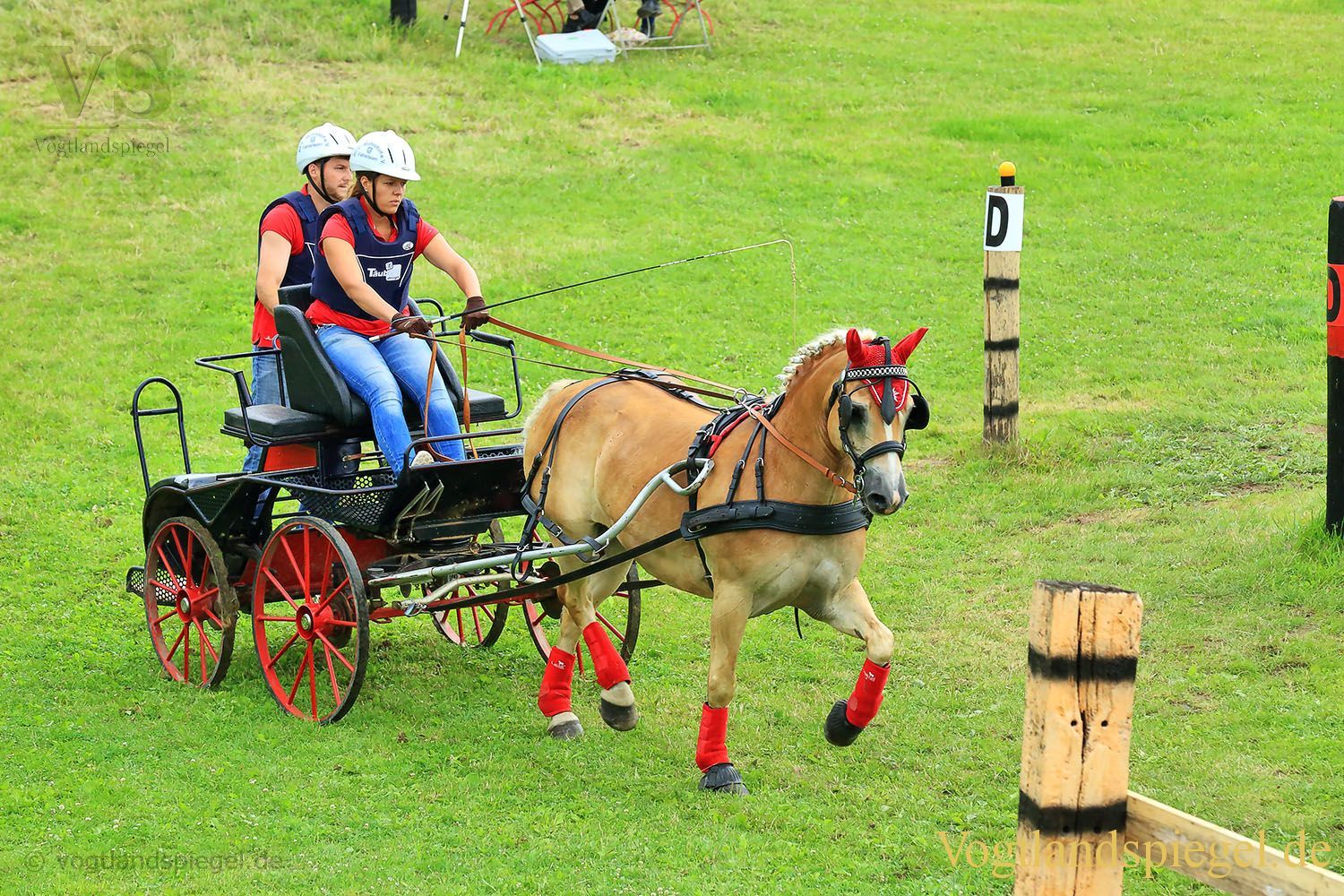 Mohlsdorf: Thüringer Landesmeisterschaft im Vier- und Einspännerfahren