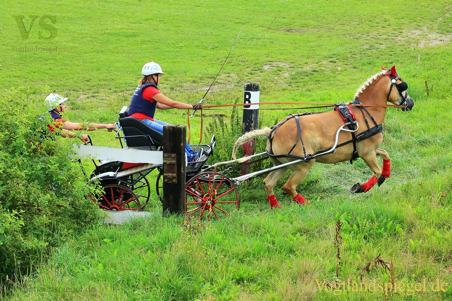 Mohlsdorf: Thüringer Landesmeisterschaft im Vier- und Einspännerfahren