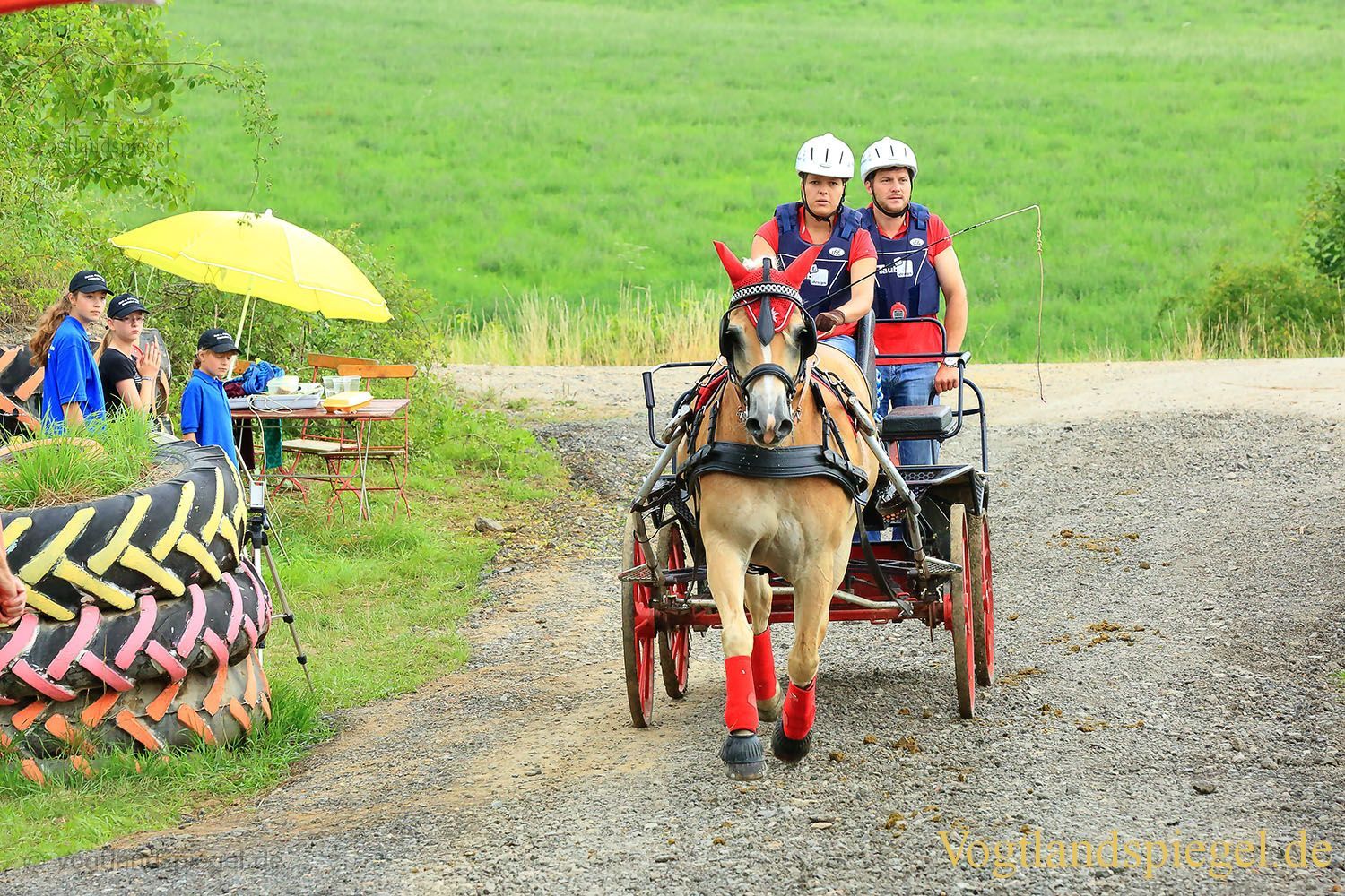 Mohlsdorf: Thüringer Landesmeisterschaft im Vier- und Einspännerfahren