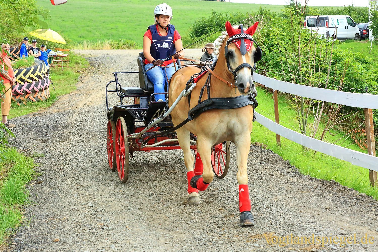Mohlsdorf: Thüringer Landesmeisterschaft im Vier- und Einspännerfahren