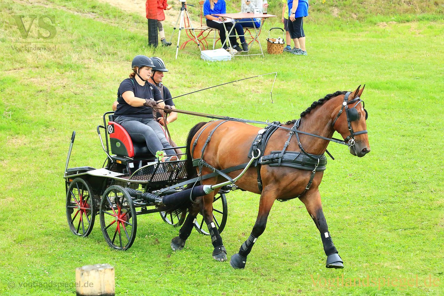 Mohlsdorf: Thüringer Landesmeisterschaft im Vier- und Einspännerfahren