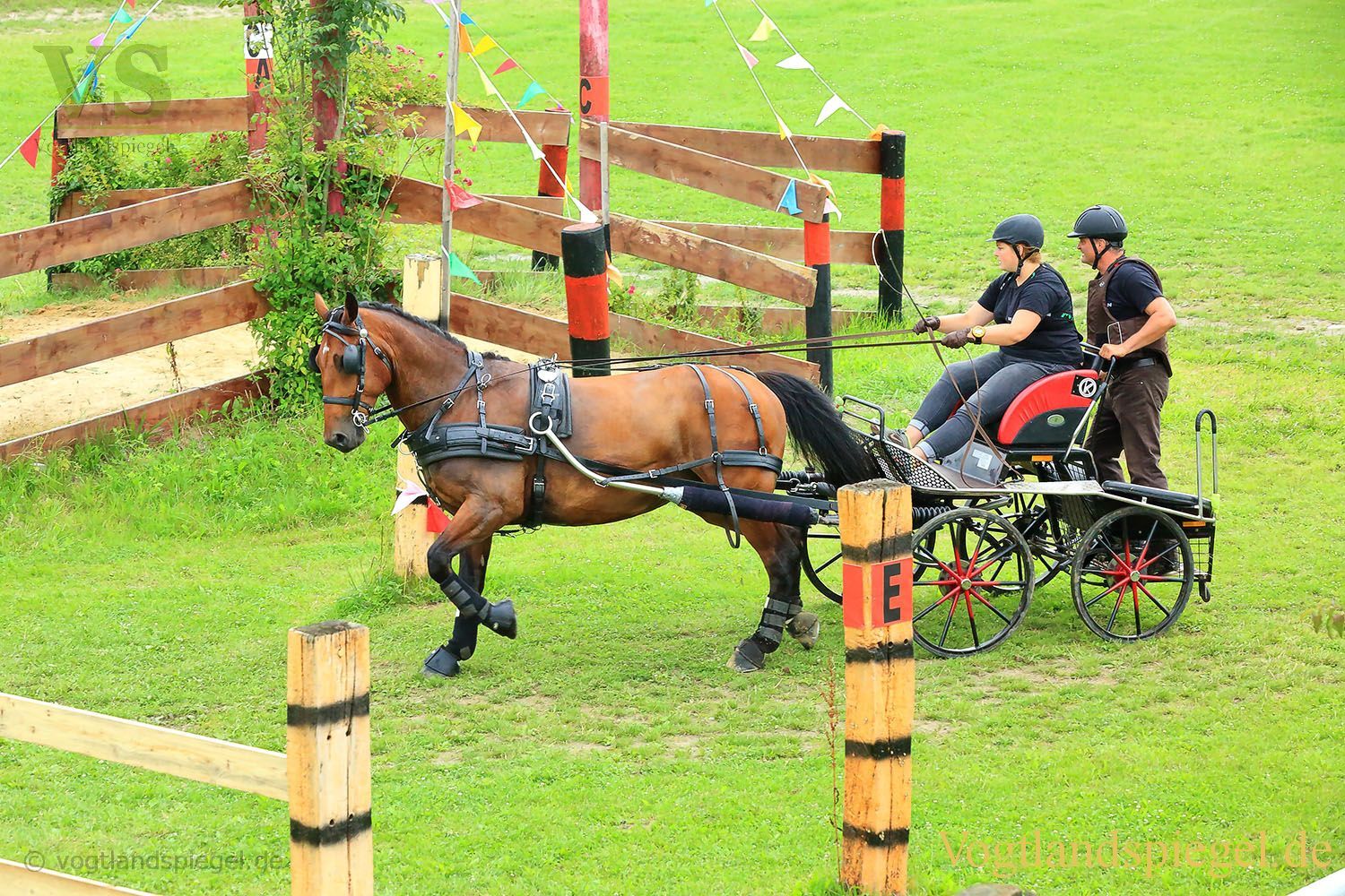 Mohlsdorf: Thüringer Landesmeisterschaft im Vier- und Einspännerfahren
