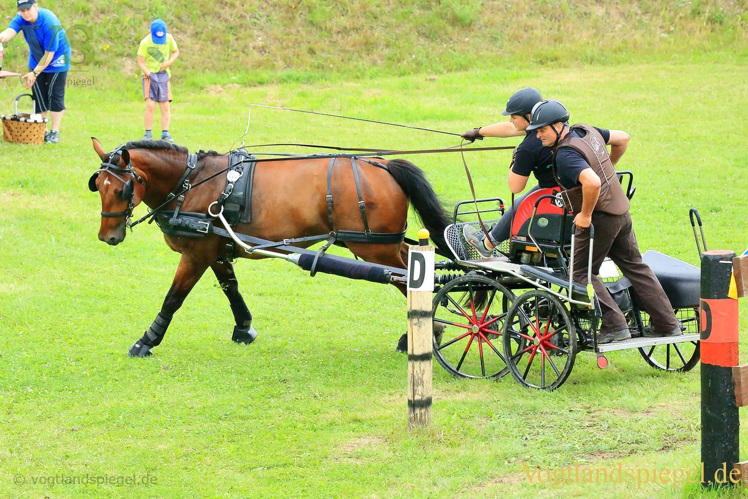 Mohlsdorf: Thüringer Landesmeisterschaft im Vier- und Einspännerfahren