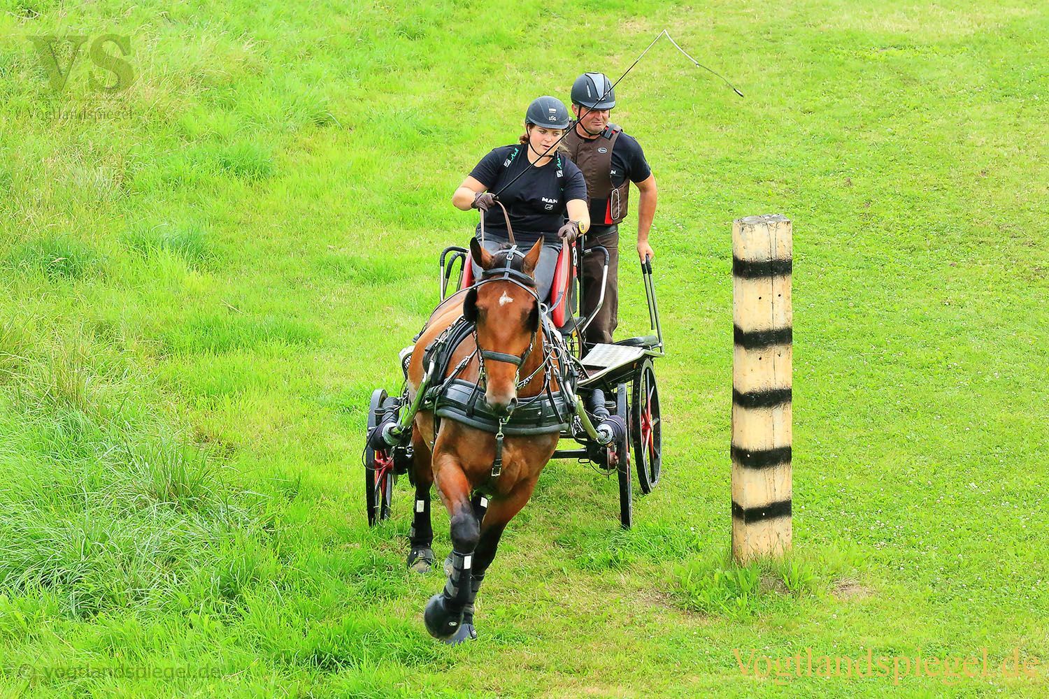 Mohlsdorf: Thüringer Landesmeisterschaft im Vier- und Einspännerfahren