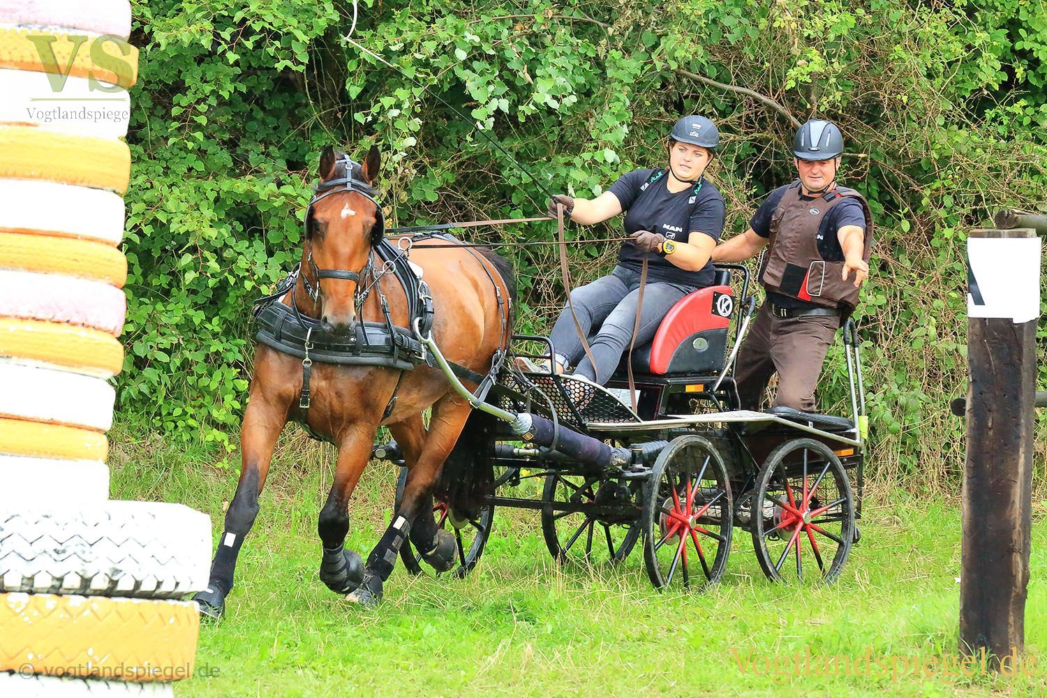 Mohlsdorf: Thüringer Landesmeisterschaft im Vier- und Einspännerfahren