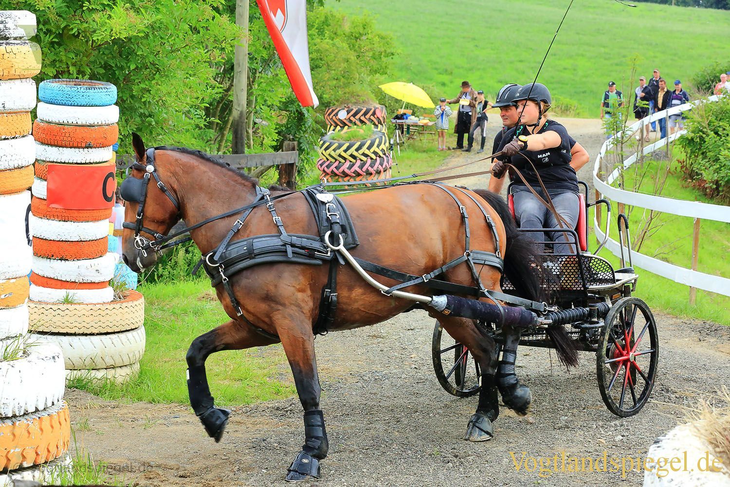 Mohlsdorf: Thüringer Landesmeisterschaft im Vier- und Einspännerfahren