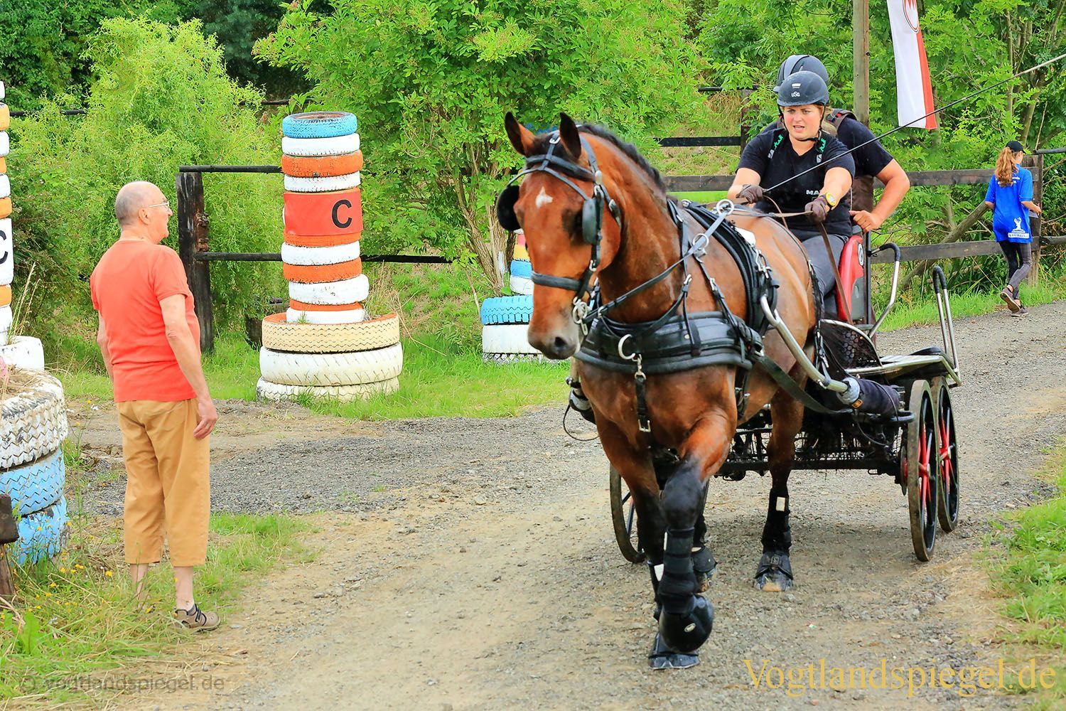 Mohlsdorf: Thüringer Landesmeisterschaft im Vier- und Einspännerfahren