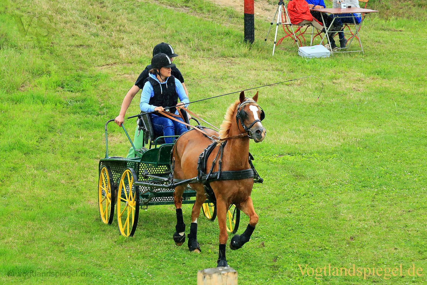 Mohlsdorf: Thüringer Landesmeisterschaft im Vier- und Einspännerfahren
