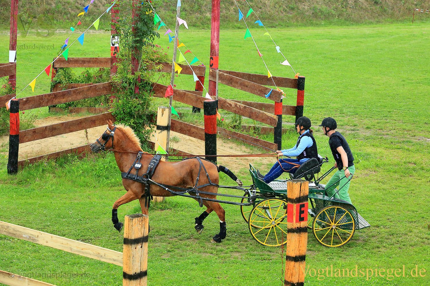 Mohlsdorf: Thüringer Landesmeisterschaft im Vier- und Einspännerfahren