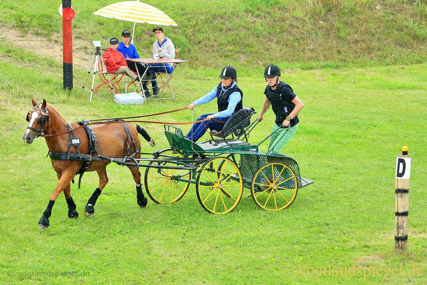 Mohlsdorf: Thüringer Landesmeisterschaft im Vier- und Einspännerfahren