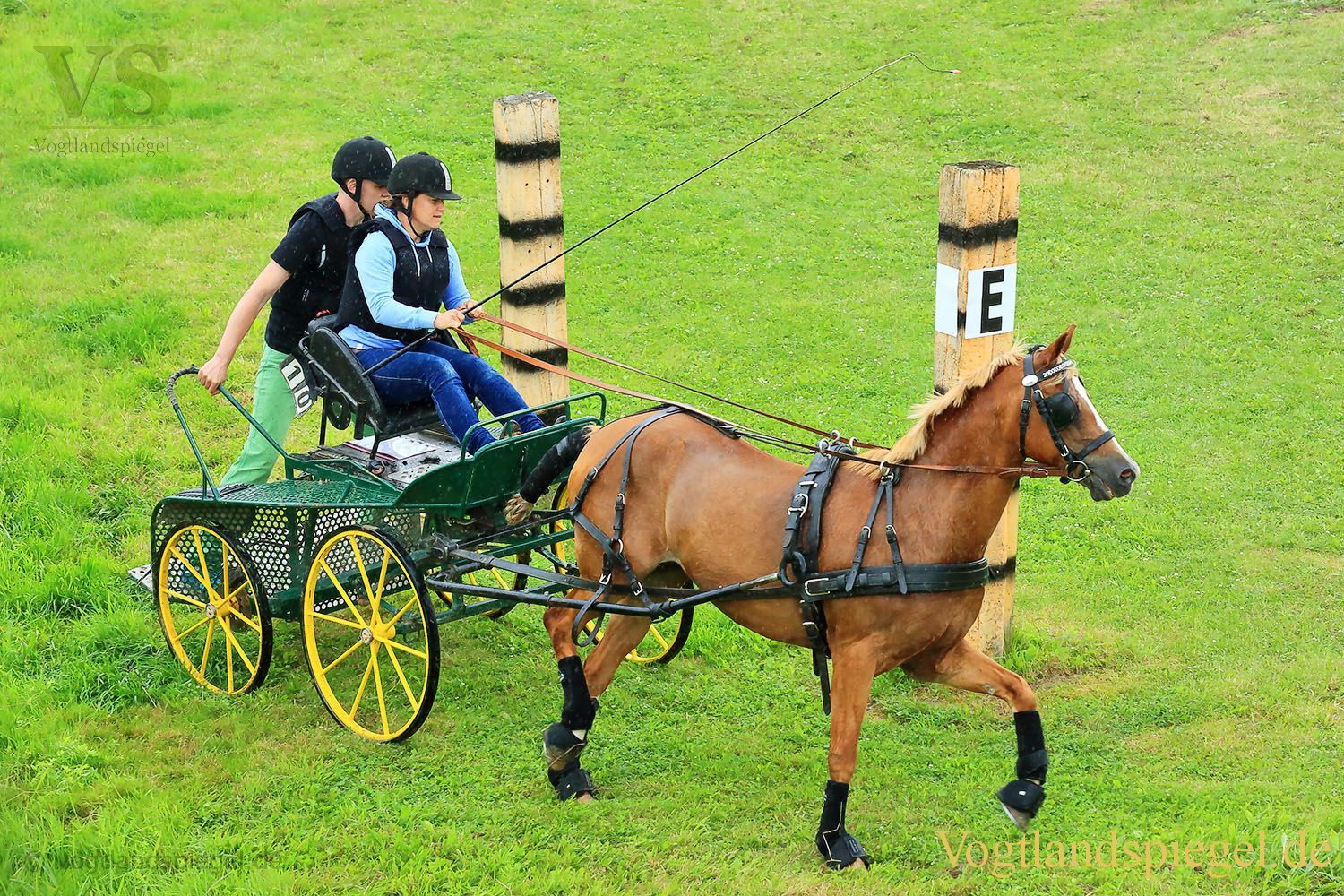Mohlsdorf: Thüringer Landesmeisterschaft im Vier- und Einspännerfahren
